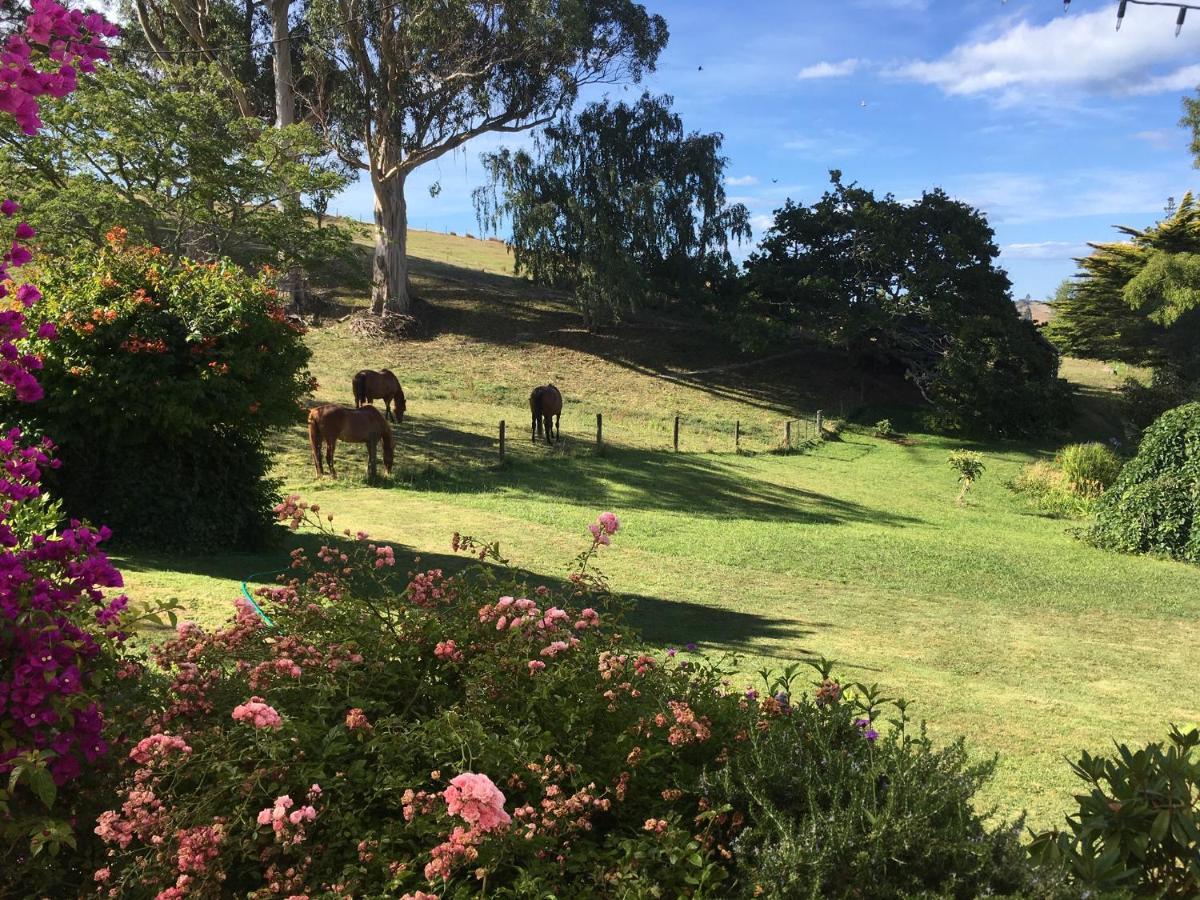Tasman Farmstay Retreat Glenmhor ภายนอก รูปภาพ