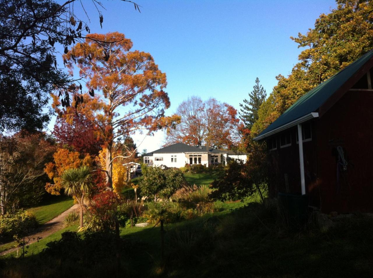 Tasman Farmstay Retreat Glenmhor ภายนอก รูปภาพ